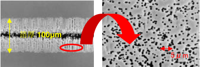 NIPPON  CHEMI-CON產品介紹 NIPPON  CHEMI-CON產品介紹